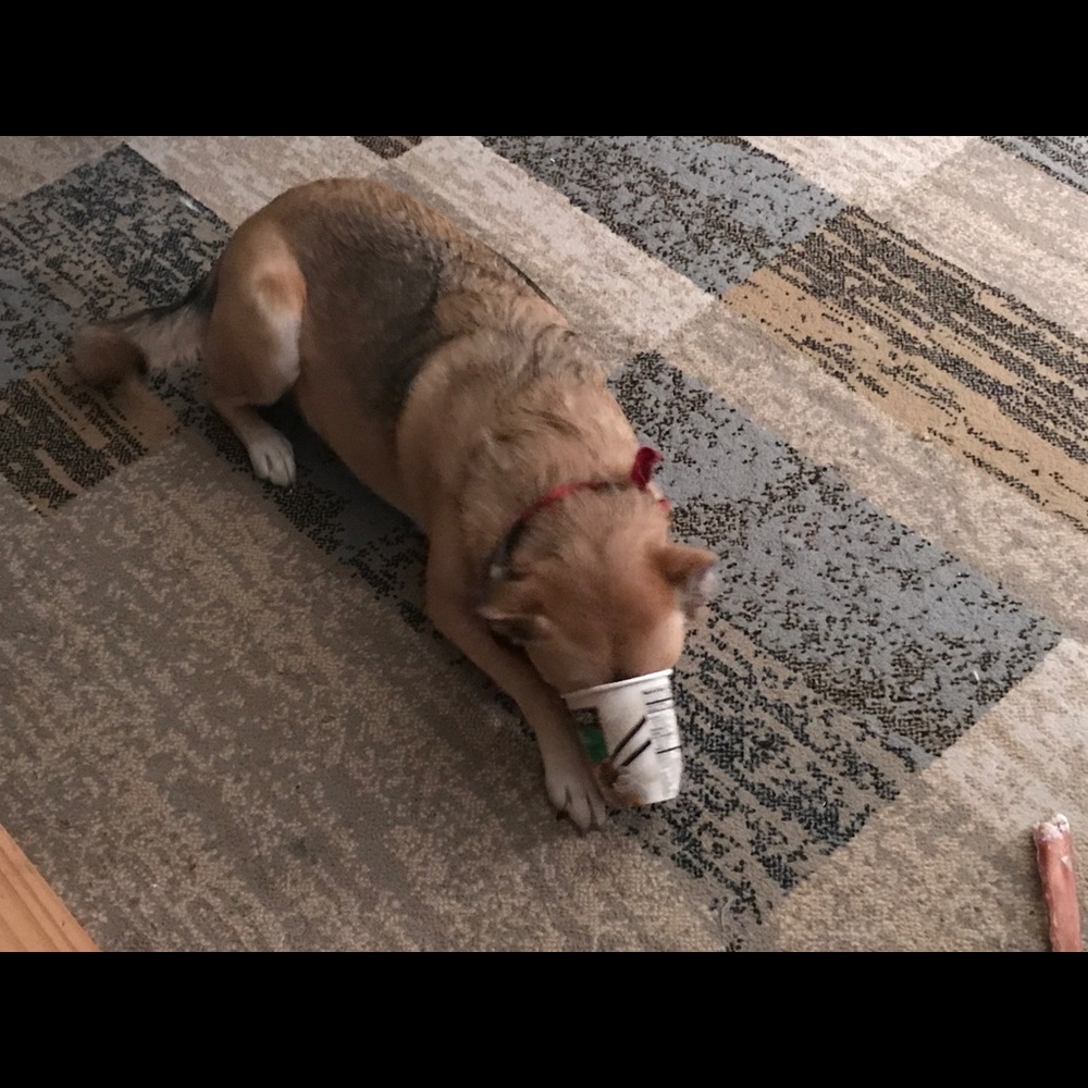 Meet your Posher, Jeff